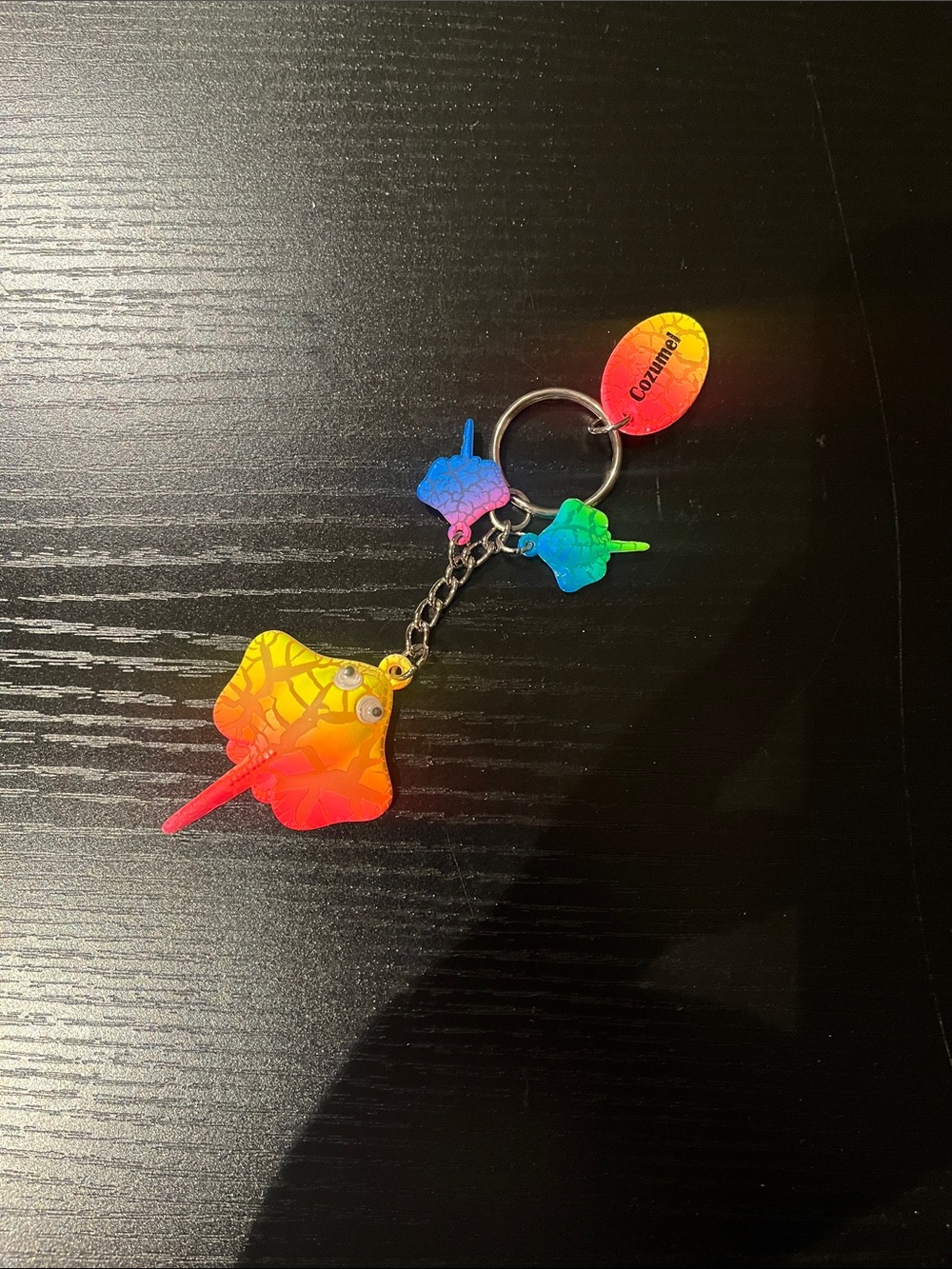 Cozumel Colorful Multicolor Stingray Keychain